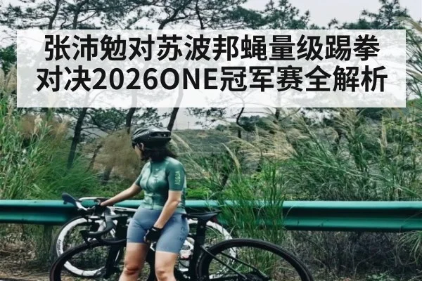 张沛勉对苏波邦蝇量级踢拳对决2026ONE冠军赛全解析